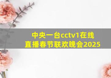 中央一台cctv1在线直播春节联欢晚会2025