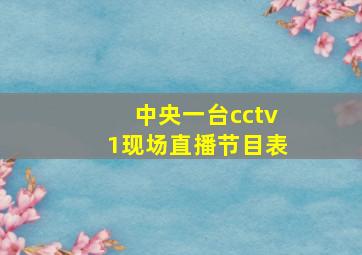 中央一台cctv1现场直播节目表