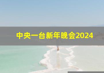 中央一台新年晚会2024