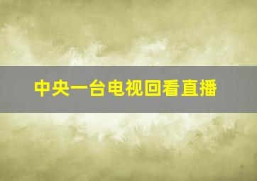 中央一台电视回看直播