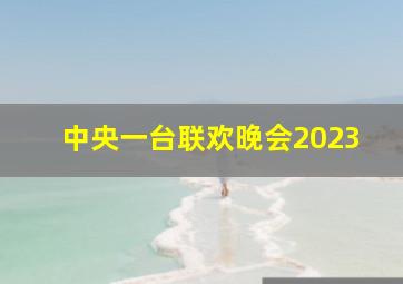 中央一台联欢晚会2023