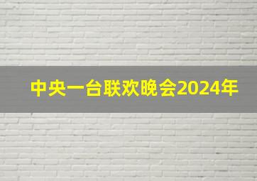 中央一台联欢晚会2024年