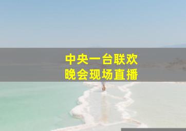 中央一台联欢晚会现场直播