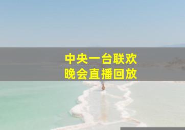 中央一台联欢晚会直播回放