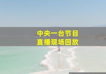 中央一台节目直播现场回放