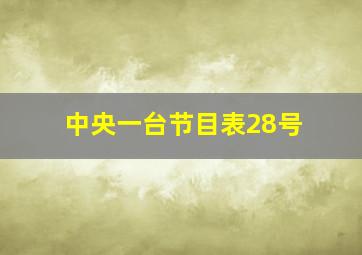 中央一台节目表28号