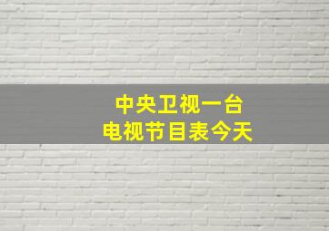 中央卫视一台电视节目表今天