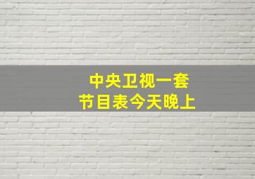 中央卫视一套节目表今天晚上