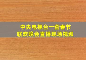 中央电视台一套春节联欢晚会直播现场视频