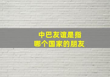 中巴友谊是指哪个国家的朋友