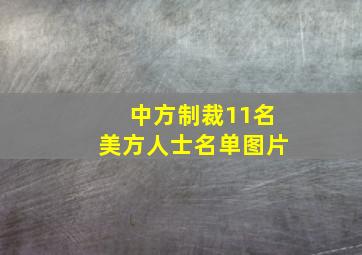 中方制裁11名美方人士名单图片