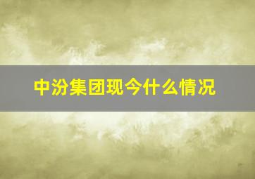 中汾集团现今什么情况