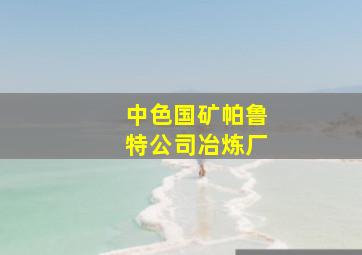 中色国矿帕鲁特公司冶炼厂