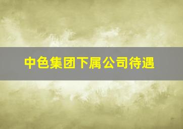 中色集团下属公司待遇