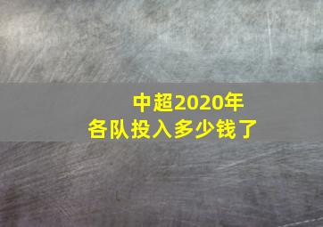 中超2020年各队投入多少钱了