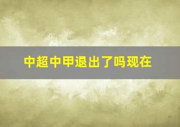 中超中甲退出了吗现在