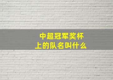 中超冠军奖杯上的队名叫什么