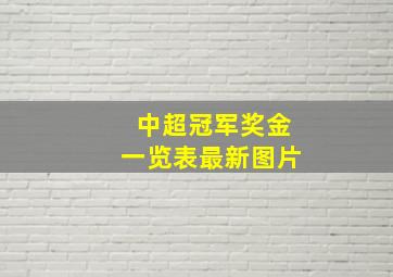 中超冠军奖金一览表最新图片