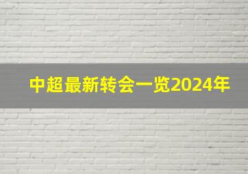 中超最新转会一览2024年