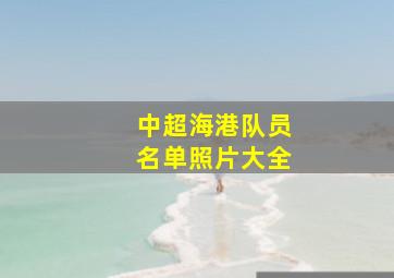 中超海港队员名单照片大全