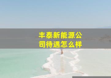 丰泰新能源公司待遇怎么样