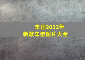 丰田2022年新款车型图片大全