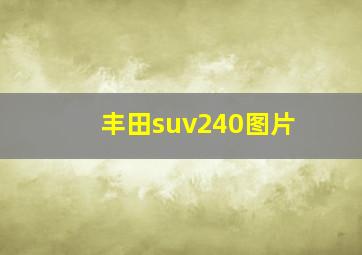 丰田suv240图片