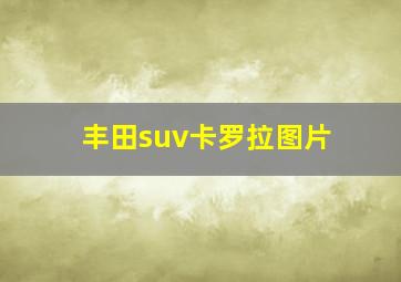 丰田suv卡罗拉图片