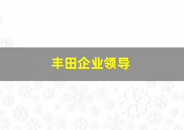 丰田企业领导