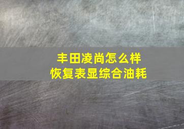 丰田凌尚怎么样恢复表显综合油耗