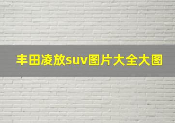 丰田凌放suv图片大全大图