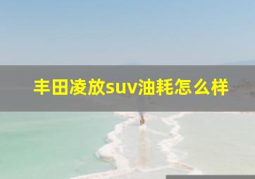 丰田凌放suv油耗怎么样