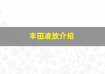 丰田凌放介绍