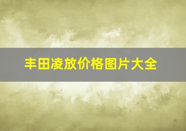 丰田凌放价格图片大全