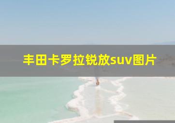 丰田卡罗拉锐放suv图片