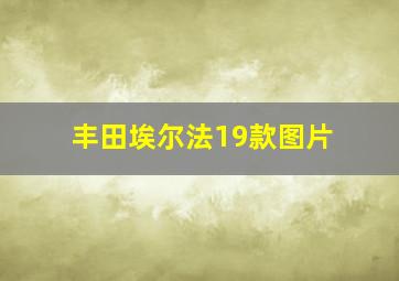 丰田埃尔法19款图片