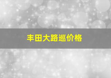 丰田大路巡价格