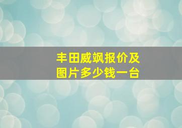 丰田威飒报价及图片多少钱一台