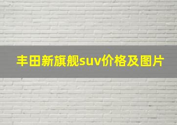 丰田新旗舰suv价格及图片