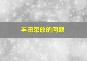 丰田荣放的问题