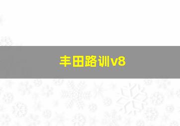 丰田路训v8