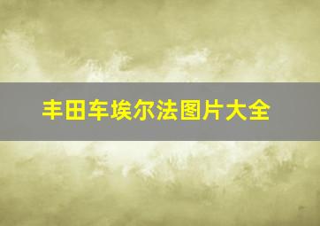 丰田车埃尔法图片大全