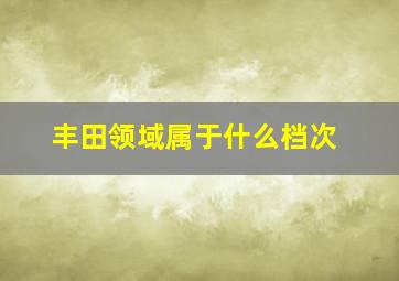 丰田领域属于什么档次