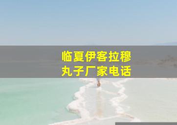 临夏伊客拉穆丸子厂家电话