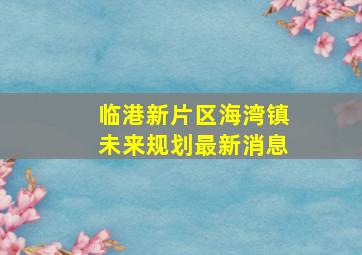 临港新片区海湾镇未来规划最新消息