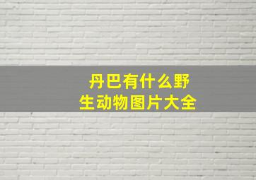 丹巴有什么野生动物图片大全