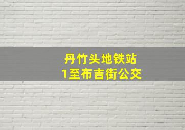 丹竹头地铁站1至布吉街公交