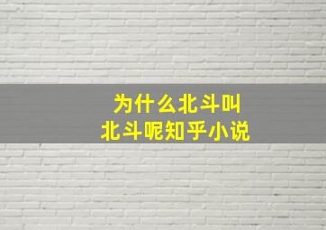 为什么北斗叫北斗呢知乎小说