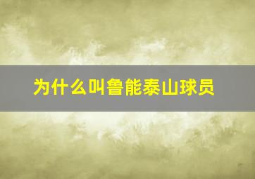 为什么叫鲁能泰山球员