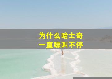 为什么哈士奇一直嚎叫不停